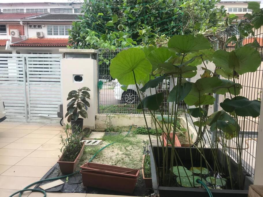 Terrace House Near Stulang Laut Ciq Midvalley Ksl For 7Pax Johor Bahru Zewnętrze zdjęcie